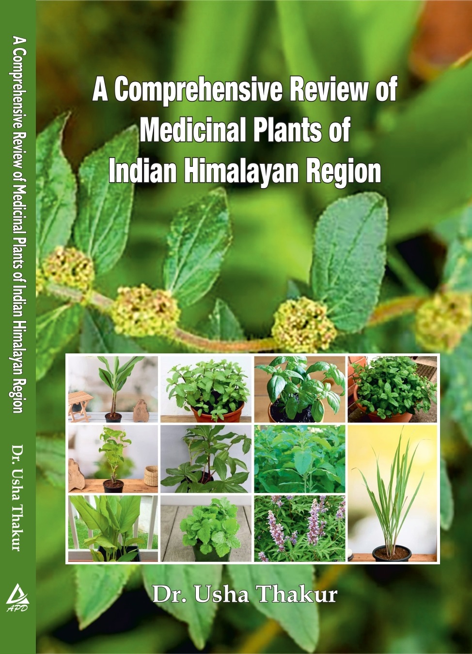 A COMPREHENSIVE REVIEW OF MEDICINAL PLANTS OF INDIAN HIMALAYAN REGION