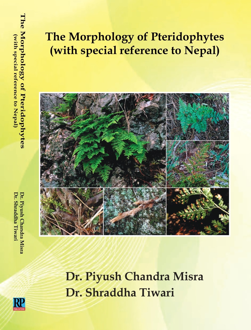 The Morphology of Pteridophyphytes  (with special reference to Nepal) 